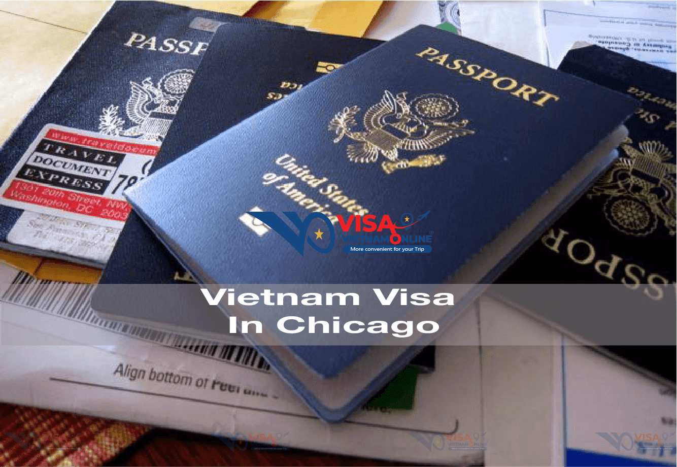 vietnam-visa-in-chicago-3.png
